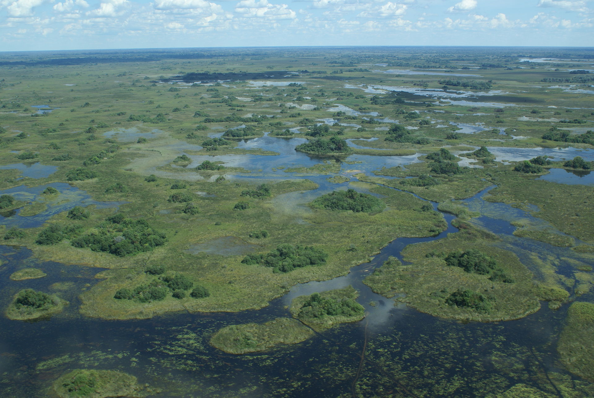 Vue aérienne du Delta de l'Okavango au Bostwana